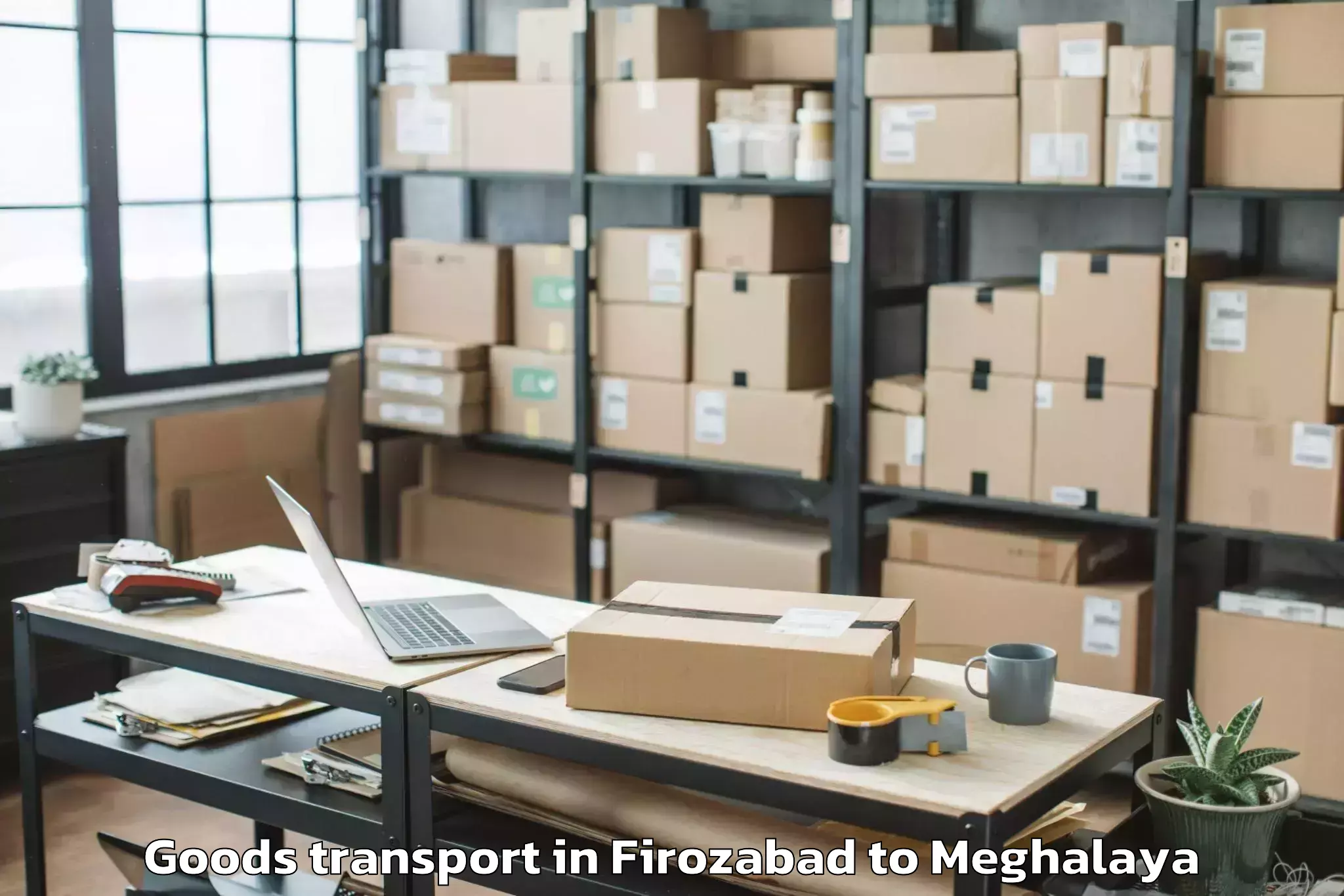 Book Firozabad to Umsning Goods Transport